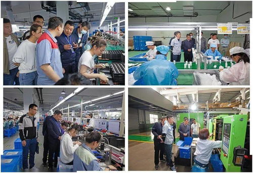 武山县党史学习教育助推劳务产业跑出加速度