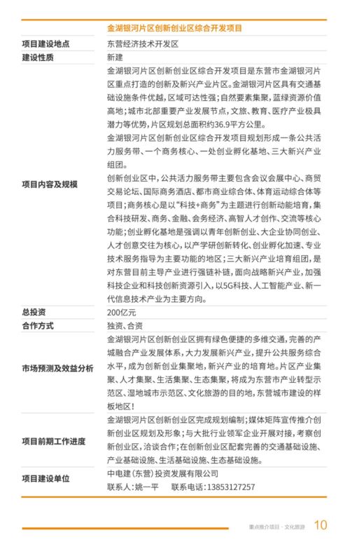 2021年东营市文化旅游项目开发策划咨询 赋能黄河入海，打造文旅新名片