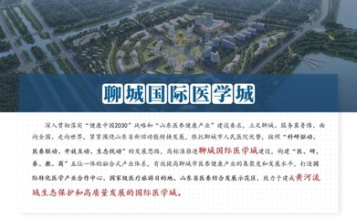 东滩顾问顺利推进《聊城医养健康城概念策划》项目中期汇报工作